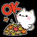 秋の気づかいのできるネコ♪飛び出す！