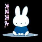 ミッフィーの幸せな暮らし