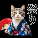 夏☆にゃんこ