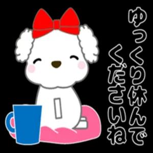 zizhpqd