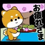 新しいスタンプいっぱい！