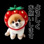 ずっと使える♡めちゃかわスイーツポメ