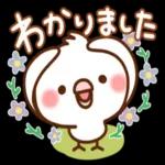 毎日しろちゃん16♥ゆる敬語_-