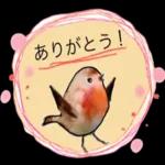 使える 小鳥の日常会話