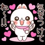 ❤️らぶうさ❤️冬のつめ合わせ❤️