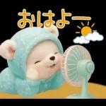 可愛い子熊 キュートな氷の服 思いやり 夏