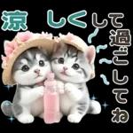 夏 猛暑 酷暑♡シベリアンハスキーとネコ