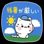 秋の気づかいのできるネコ♪飛び出す！