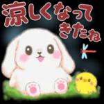 ベイビーうさぎさん「秋」