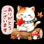 猫のつめあわせ【秋】