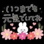 大人可愛い❤️秋の日常。