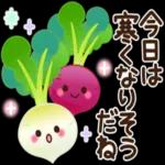 笑顔溢れる素敵な一日を♡⋆｡:ﾟ･*･⋆｡⋆｡:ﾟ･*:ﾟ･⋆｡⋆｡:ﾟ･*