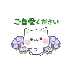 気づかいのできるネコ♪真夏の敬語編☆