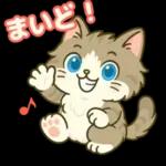 ゆるっと関西弁＊ええニャン＊