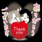 素敵な一日になりますように〜