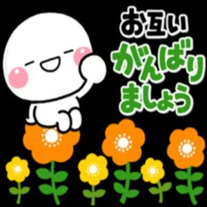 pv5tdkf