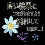 心温まる★小さいお手紙