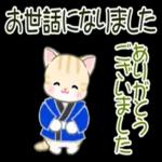 かわいい猫😺が来ますよ！