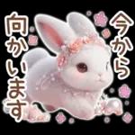 癒しうさぎのマリンスタイル☆*。