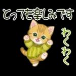 冬のキラキラおめめの子猫ちゃん