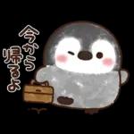 ふんわりペンちゃん【家族連絡用】