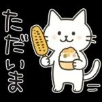 猫ちゃんとスイーツと夏