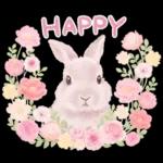 めっちゃ可愛い🫣🫣🫣