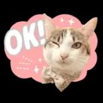まるちゃんスタンプ＃1