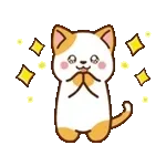 動く！ミル&モカ 毎日使える定番