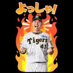 阪神タイガース