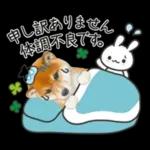 かわいい犬たち冬♡冬＆正月 柴犬