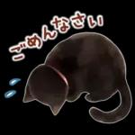 黒猫のつめあわせ♪