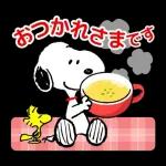 Q. 8 お世話になって ます