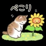 最近どう？？🥺🥺🥺