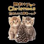 大きく表示♡冬にゃんこ