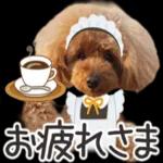 あけまして* *ございます おめでとう*