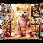柴犬と白蛇の幸運あけおめスタンプ♡