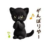 関西弁♡動く猫ぬいの家族連絡(黒猫)
