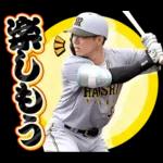 阪神タイガース