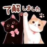 黒猫のつめあわせ♪