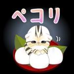 かわいい猫😺が来ますよ！