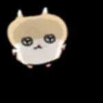 ハムスターの子