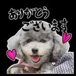 大人かわいい日常メッセージ?