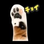 可愛い猫スタンプ！！