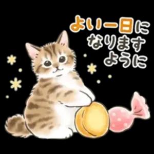 qd4iyl8