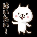 沖縄方言のゆるねこちゃん