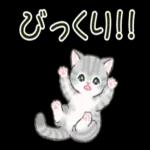 お互いがんばろ！！！