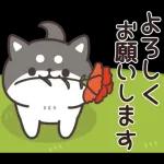 お返事シバイヌくん(ポジティブ)