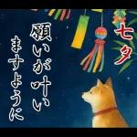 飛び出す【夏】ずっと使える大人のご挨拶