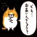 ニャー星人の楽園🤩🤩